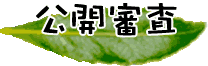 公開審査