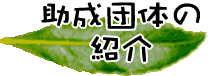 ĉ̏Љ